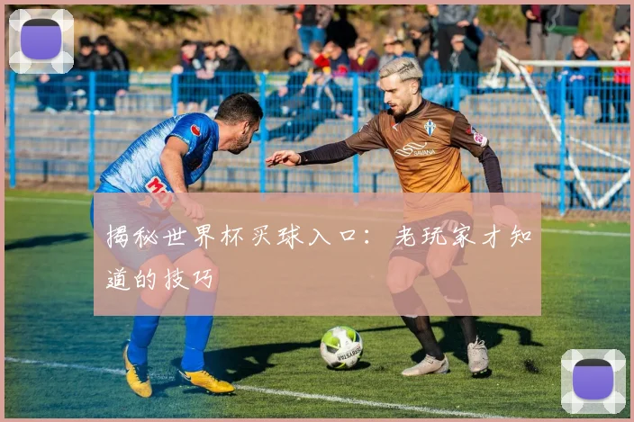 揭秘世界杯买球入口：老玩家才知道的技巧