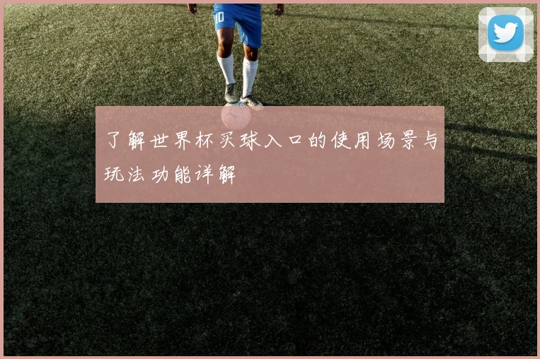 了解世界杯买球入口的使用场景与玩法功能详解